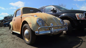 A Pack Rat, a Rat Rod, and a Bug thumbnail