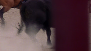 Found Horse thumbnail