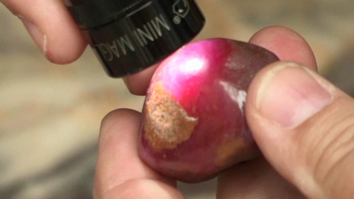 Watch Gem Hunt live