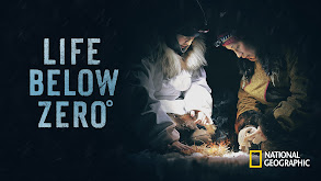 Life Below Zero thumbnail