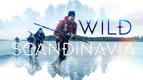 Wild Scandinavia thumbnail
