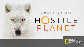 Hostile Planet thumbnail