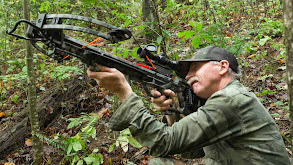 Bolt Action thumbnail