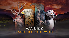 Wales: Land of the Wild thumbnail